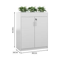 臻远 ZY5062244 铁皮文件柜 80*30*100cm 白色 两门矮柜 (单位:台)