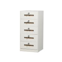 臻远 ZY5062207 钢制文件柜五抽矮柜 85*40*39cm 白色 (单位:台)