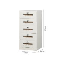 臻远 ZY5062207 钢制文件柜五抽矮柜 85*40*39cm 白色 (单位:台)