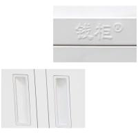 钱柜 对开矮柜双层 780钢印款 QG529661702 850*390*780mm (单位:台) 雅白