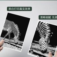 得印（befon） CLI-36 彩色墨盒 250页 彩色（单位： 支）适用佳能Canon PIXMA IP100 IP110 TR150 MINI260 MINI320