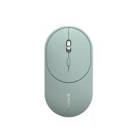 科大讯飞（iFLYTEK） 智能鼠标 Lite-M320 电池容量 300-499mAh (单位:个) 松霜绿