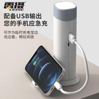 雷摄（LEISE） 创意台灯手电充电宝 LS-DX03 3000毫安 (单位:个)