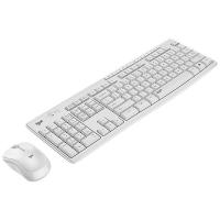 罗技（Logitech） MK295 无线轻音键鼠套装 带2.4G接收器-USB  (单位：套 )白色