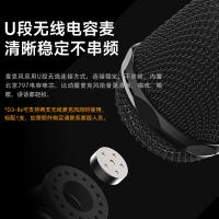 漫步者（EDIFIER） 蓝牙拉杆音箱 配无线麦克风 D3-8s 8英寸 (单位:台) 黑色