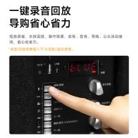 漫步者（EDIFIER） 蓝牙拉杆音箱 配无线麦克风 D3-8s 8英寸 (单位:台) 黑色