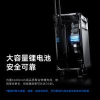 漫步者（EDIFIER） 蓝牙拉杆音箱 配无线麦克风 D3-8s 8英寸 (单位:台) 黑色