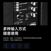 漫步者（EDIFIER） 蓝牙拉杆音箱 配无线麦克风 D3-8s 8英寸 (单位:台) 黑色