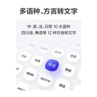 科大讯飞 智能录音笔 星火版 SR201 32GB (单位:个) 星空灰