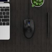双飞燕（A4TECH） OP-550NU 有线鼠标 USB接口，100-120mm（单位：个）
