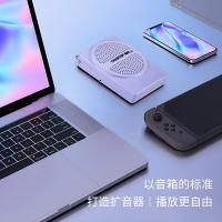 得胜（TAKSTAR） 便携小蜜蜂扩音器 E126 97*72*27mm (单位:台) 颜色随机