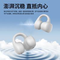 爱国者（aigo）TX02 蓝牙耳机 蓝牙V5.3（单位：个）白色