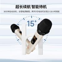 漫步者（EDIFIER） 无线麦克风 5h超长续航 IU32 240mmx36mm 2个/套 (单位:个) 云岩白