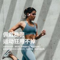 飞利浦（PHILIPS） 骨传导耳机 蓝牙无线 TAA1609 120mAh (单位:个) 白色