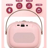 迪士尼（Disney） 麦克风音箱套装 MK18 音箱*1 麦克风*2 (单位:套) 米妮粉