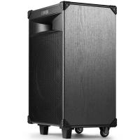 漫步者（EDIFIER） 舞台级户外移动音箱 PW312 12英寸 ( 单位 :套)