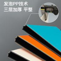 齐心（COMIX）A5381 RAY折页板夹 A4（单位：个）红