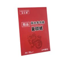 龙仕康 LSKa4-80 复印纸 A4 80g (单位: 箱) 500张/包 5包装