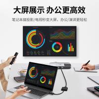 绿联（UGREEN） 20414 转换器 DP转VGA （单位:条） 黑色