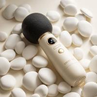 漫步者（EDIFIER） LOLIMIC PRO ED600022 K歌话筒 续航时间约2-3小时（单位：个） 乳白色