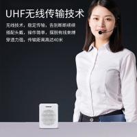 得胜（TAKSTAR） E300W 无线小蜜蜂扩音器 10W(单位：台) 白色