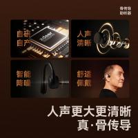 左点 ZD-TJGD202 骨传导助听器 27g(单位：个)
