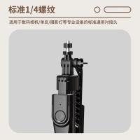 纽曼（Newmine） NM-ZPS03 自拍杆三脚架 1.85米(单位：个)