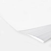 得力（deli）7400 莱茵河复印纸 A4 70g 500张/包 1包（单位：包）白