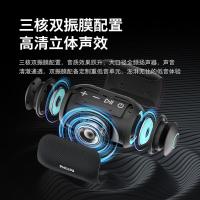 飞利浦（PHILIPS） TAS3209 蓝牙音箱 蓝牙5.3(单位：个) 黑色