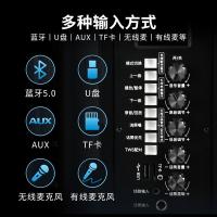 漫步者（EDIFIER） PP208 移动多媒体音箱 8英寸(单位：个) 黑色