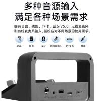 漫步者（EDIFIER） PP205无线版 手提便携式蓝牙音箱 电池容量14.8Wh 配麦克风（单位：套) 月白色