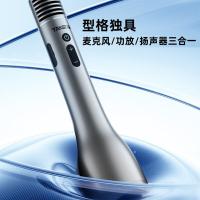 得胜（TAKSTAR） DA12 K歌麦克风音响一体 12W（单位：只）银色