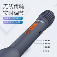得胜（TAKSTAR） DA10S K歌麦克风音响一体 10W（单位：只）午夜蓝