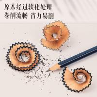 得力（deli）S999-3B高级绘图铅笔 176mm 12支 新老包装随机发货（单位：盒） 蓝色