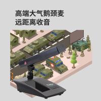 润普（Runpu） RP-GYX2422S 桌面式鹅颈麦话筒 导线长度8m（单位：支）