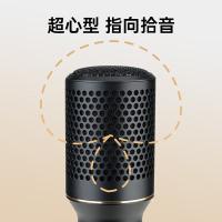 得胜（TAKSTAR） DM103 有线动圈麦克风 5米加长线材（单位：只）黑色