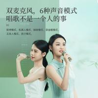 点音 SongBird-HQ-2 音箱家庭KTV音响带双麦克风 50W（单位：套）青色