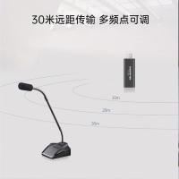 得胜（TAKSTAR） MS-580W1 无线会议麦克风 一拖一 USB款 内置声卡（单位：套）黑色