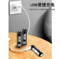 雷摄（LEISE） 5号USB锂电池X2 电池 3300mWh（2节） （单位:盒）