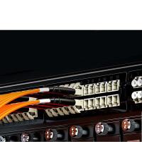 胜为（shengwei） FMC-204 光纤跳线 线径2mm  (单位：对 )橙色