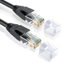 胜为（shengwei） LC-6100G 六类高速网络跳线 10米 （单位：条) 黑色