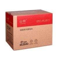 山特 C12-100 蓄电池 100AH (单位:节)