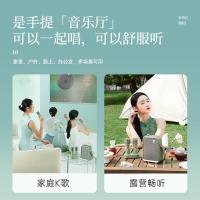 点音 SongBird-HQ2 东方青鸾2代双麦K歌音箱 音箱36Wh/麦克风4.44Wh(单位：套) 晴空绿
