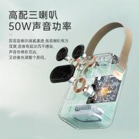 点音 SongBird-HQ2 东方青鸾2代双麦K歌音箱 音箱36Wh/麦克风4.44Wh(单位：套) 晴空绿