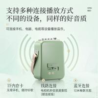 点音 SongBird-HQ2 东方青鸾2代双麦K歌音箱 音箱36Wh/麦克风4.44Wh(单位：套) 晴空绿