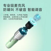 点音 SongBird-HQ2 东方青鸾2代双麦K歌音箱 音箱36Wh/麦克风4.44Wh(单位：套) 晴空绿