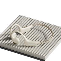 飞利浦（PHILIPS）TAA1708 蓝牙耳机 升级款360全景音（单位：个）白