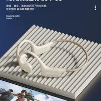 飞利浦（PHILIPS）TAA1708 蓝牙耳机 升级款360全景音（单位：个）白