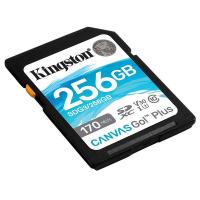 金士顿（Kingston） SDG3/256GB SD存储卡 256GB  U3 V30 4K超高清拍摄 读速170MB/s 写速90MB/s (单位：个)  黑色