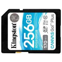 金士顿（Kingston） SDG3/256GB SD存储卡 256GB  U3 V30 4K超高清拍摄 读速170MB/s 写速90MB/s (单位：个)  黑色